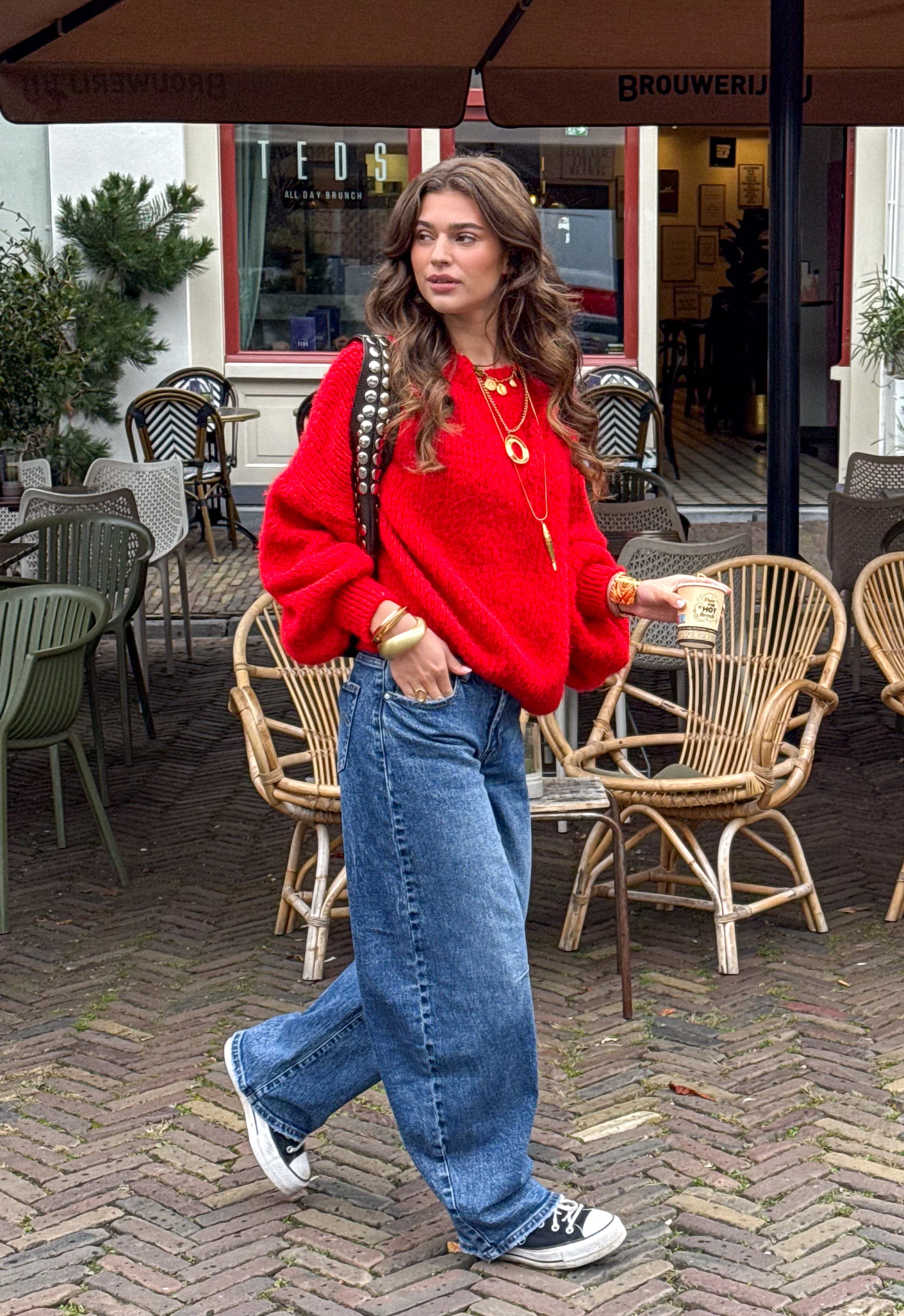 Rosa Trui Rood - Image 4